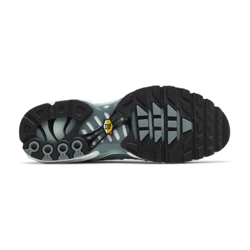 Nike Air Max Plus "Origins Waterway"