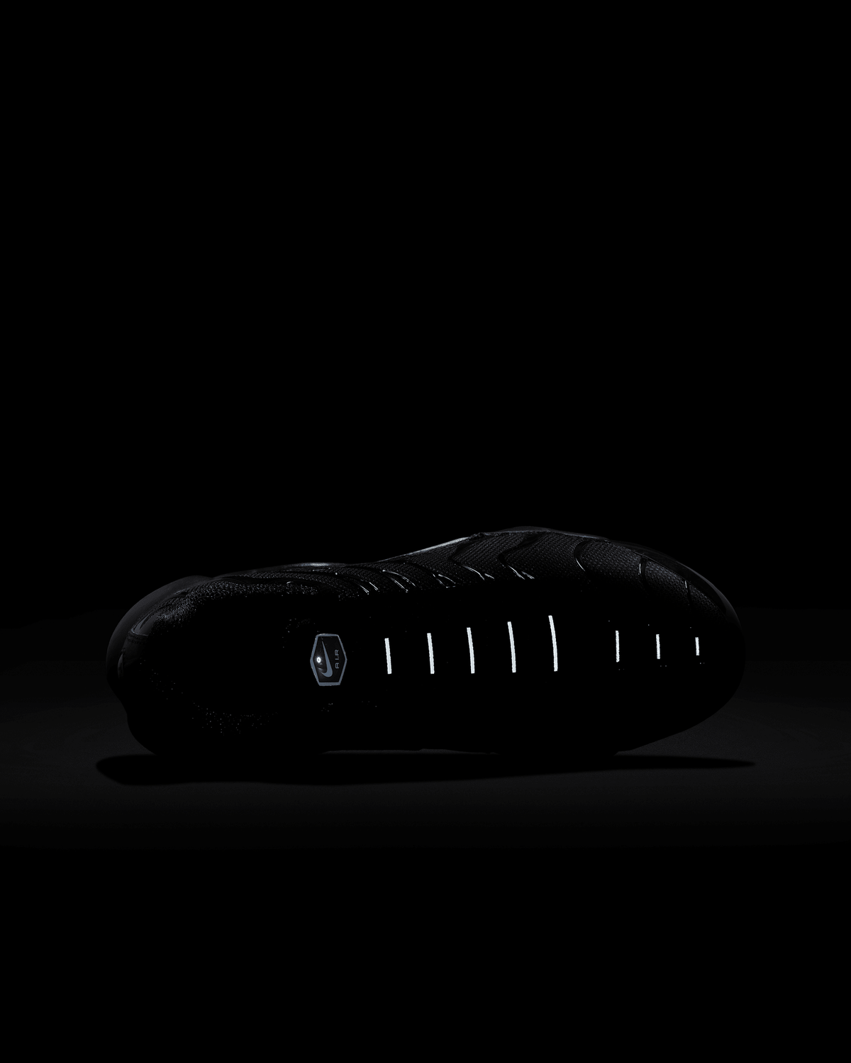 Nike Air Max Plus (TN)- Noir