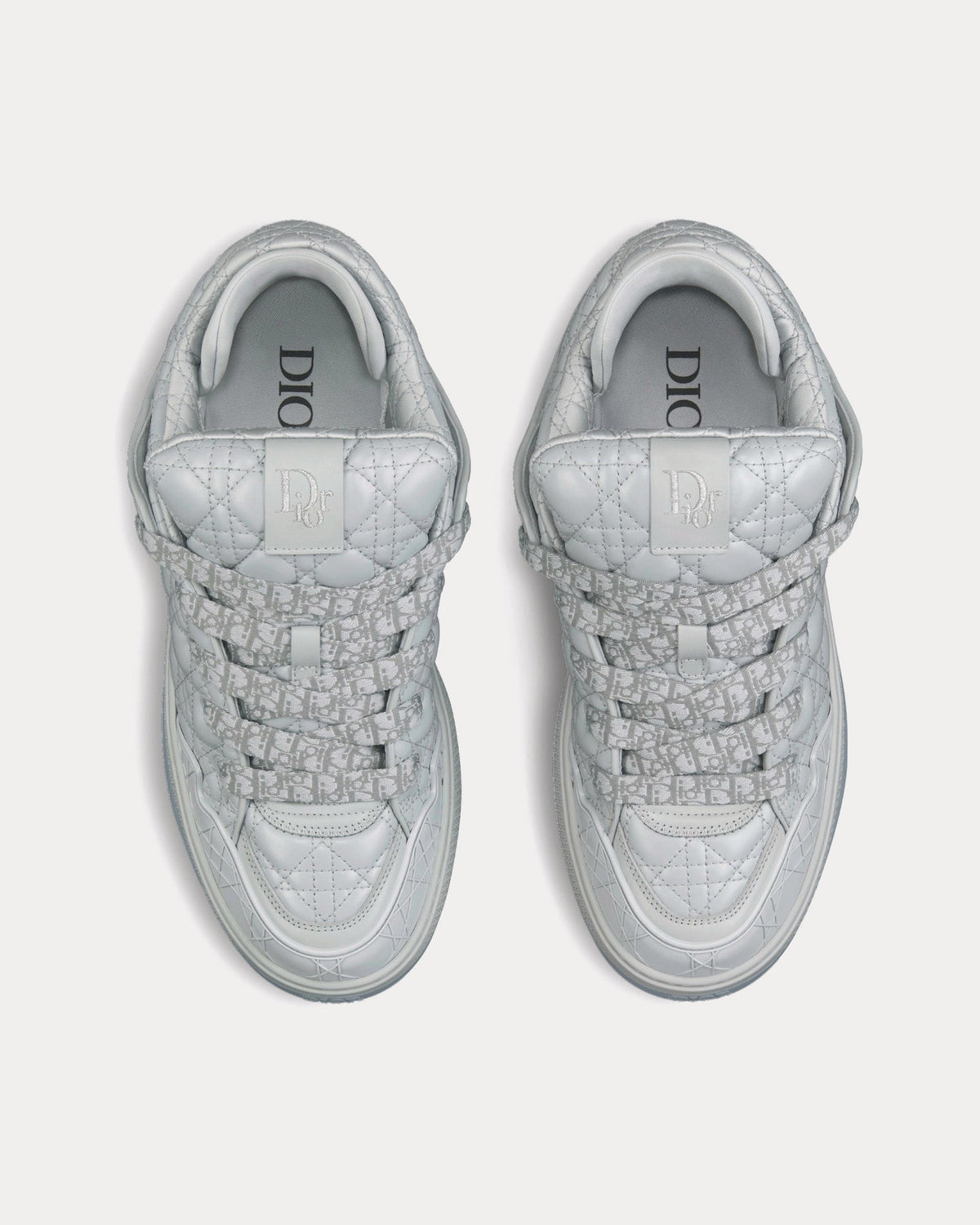 Baskets Christian Dior B9S Skater
