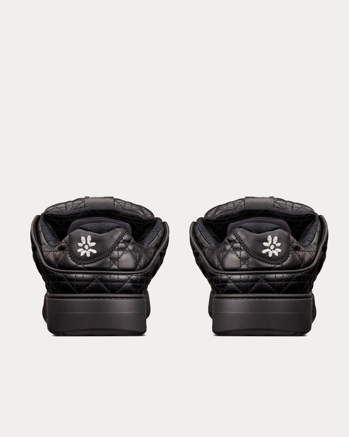 Dior B9S Skater ERL Noir