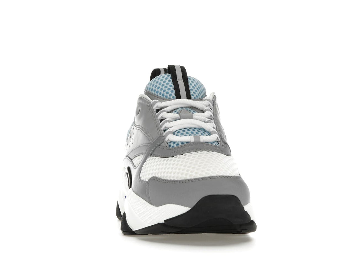 Dior B22 - Gris