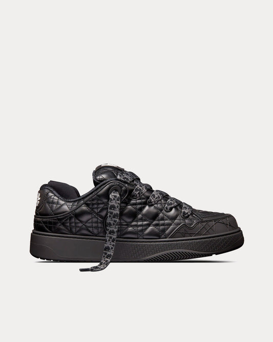 Dior B9S Skater ERL Noir