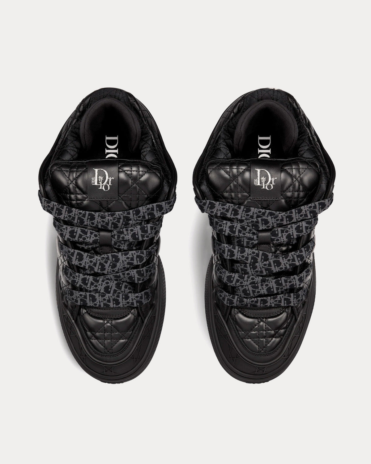 Dior B9S Skater ERL Noir