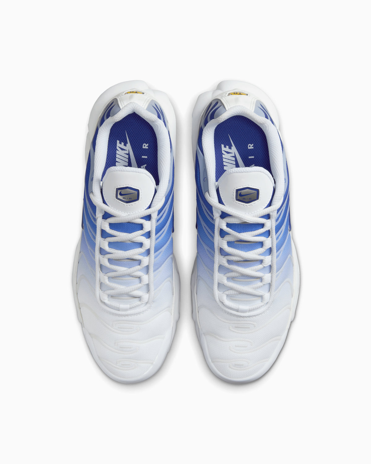 Nike Air Max Plus TN "Blue Fade" - Blanc/Bleu