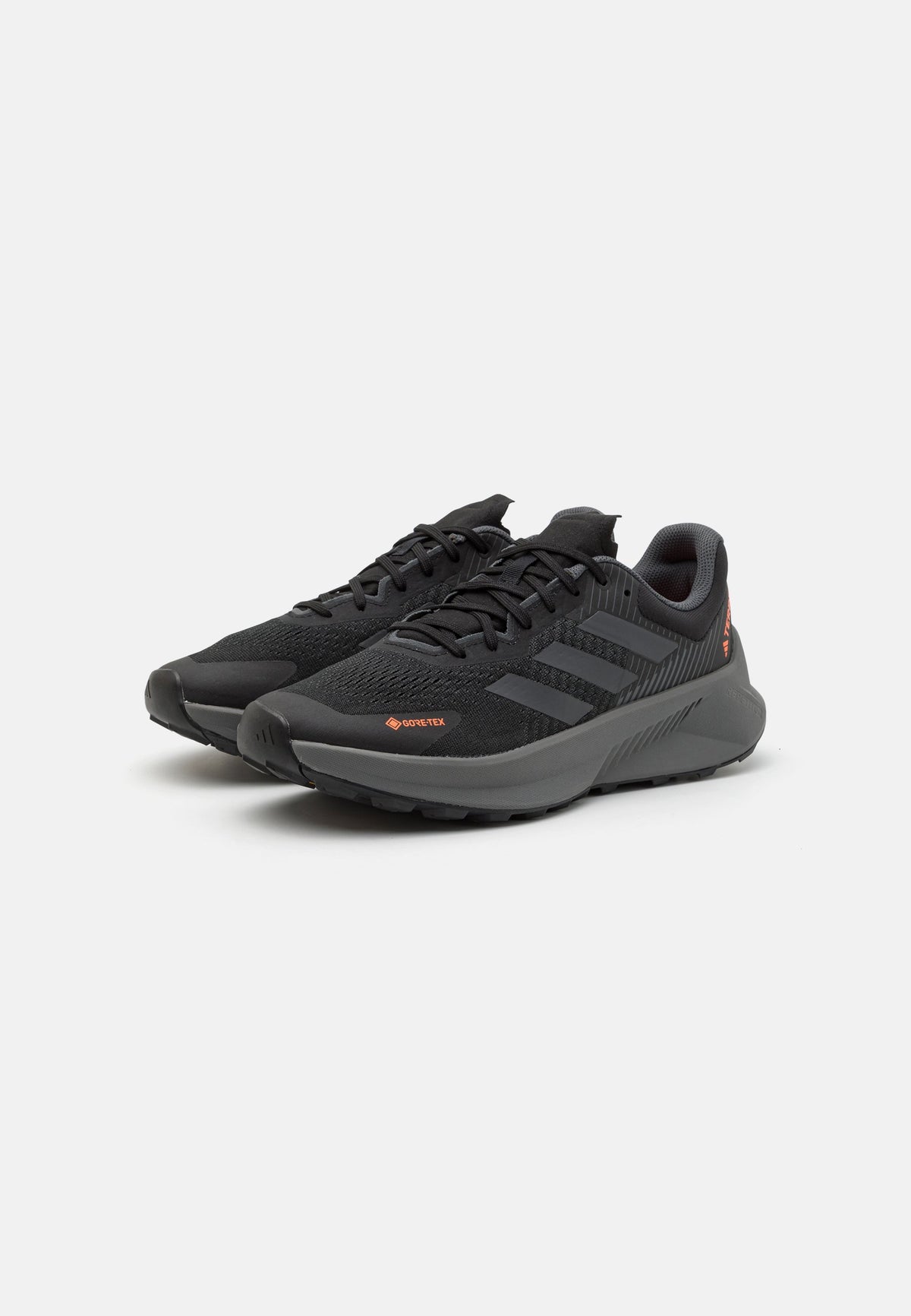 Adidas Terrex Soulstride Flow GORE-TEX Noir