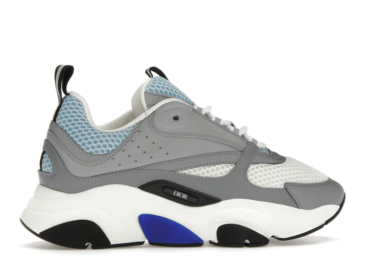 Dior B22 - Gris